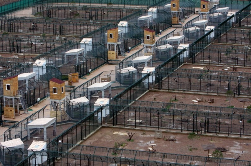 centro reprod lince iberico