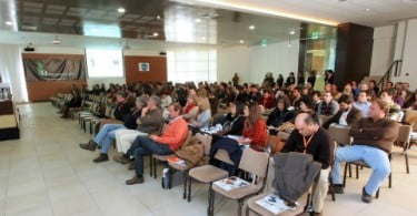 V Jornadas Muralha de Évora: Os bovinos de carne são o parente pobre