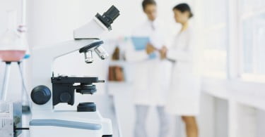 A parir de 2013 será interdita a experimentação animal para a maioria dos testes de toxicidade