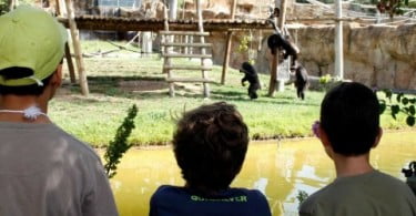 Jardim Zoológico com ATL na Páscoa
