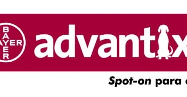 Bayer Saúde Animal alerta para prevenção nas viagens com animais