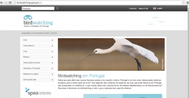 SPEA lança novo portal dedicado à observação de aves