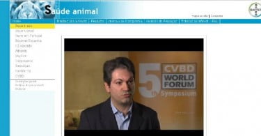 O papel dos veterinários na prevenção das CVBD