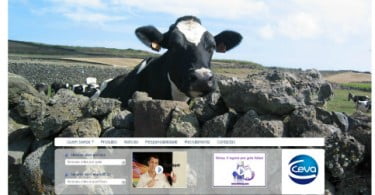 Ceva lança website em português