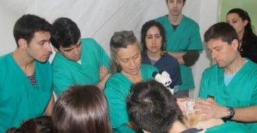 Curso Teórico-Prático de Oftalmologia