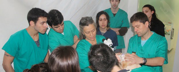 Curso Teórico-Prático de Oftalmologia