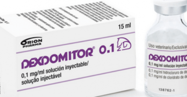 Esteve Veterinária lança Dexdomitor 0.1 em Portugal