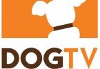 DOG TV: o primeiro canal português para cães