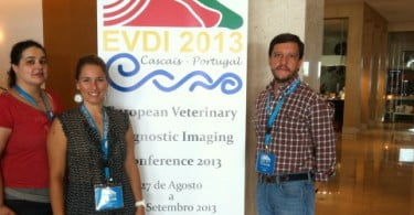 Reunião Científica Anual da EVDI: organização portuguesa surpreende participantes