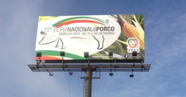 Jornadas Técnicas da Feira do Porco colocam suinicultura em discussão