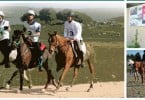 Introdução à Resistência Equestre