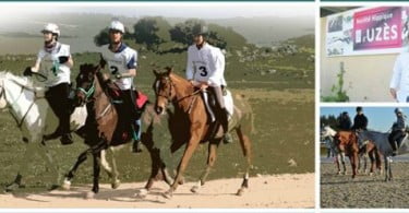 Introdução à Resistência Equestre