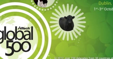 Irlanda recebe em outubro a Conferência Global 500