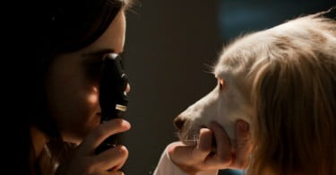 Clínica Veterinária de Águas Santas dá lugar a Hospital Veterinário da Maia