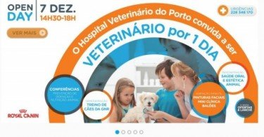 Animais de estimação com ATL no Porto