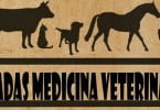 Toxicologia Veterinária em destaque nas Jornadas de Medicina Veterinária AEICBAS