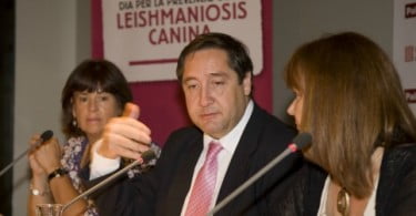 Fórum Bayer comemora Dia Nacional para a Prevenção da Leishmaniose