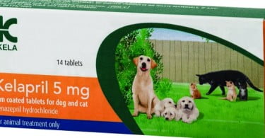 Flyingvet lança Kelapril para insuficiência cardíaca congetiva