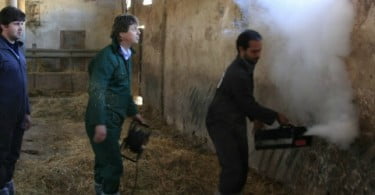 MSD prepara 3ª edição do workshop Síndrome Respiratória Bovina