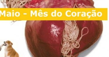 Clínica Veterinária Santa Teresinha promove mês do coração
