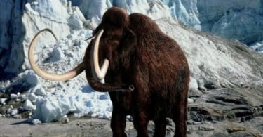 Descoberto mamute congelado ainda com sangue