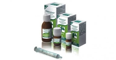 Animal com cancro teve tempo de vida prolongado