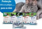 Esteve lança novo medicamento contra pulgas