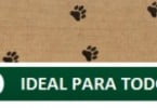 Natural Dog Food Company aposta em alimentação natural para cães
