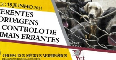 Diferentes Abordagens no Controlo de Animais Errantes