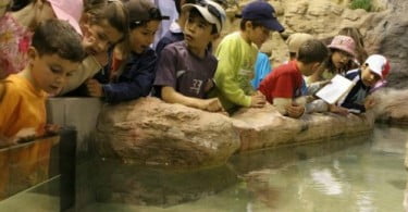 Fluviário de Mora organiza atividades para o verão