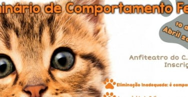 Seminário de Comportamento Felino em abril