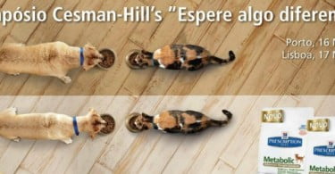 Simpósio Cesman Hills no Porto e em Lisboa