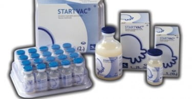 HIPRA no XXVI Congresso Mundial de Buiatria