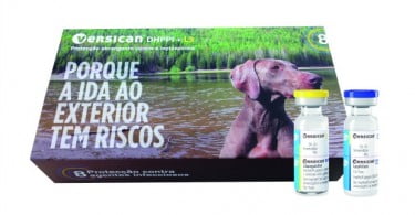 Zoetis lança nova gama de vacinas para animais de companhia