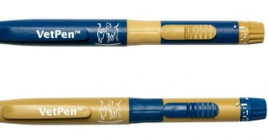 Primeira caneta de insulina para cães e gatos diabéticos