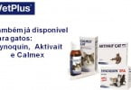 VetPlus lança novos medicamentos para gatos