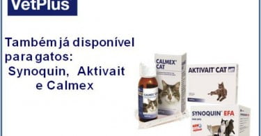 VetPlus lança novos medicamentos para gatos