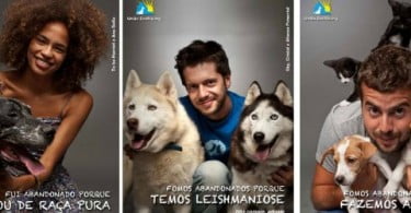 União Zoófila lança campanha contra abandono de animais nas férias
