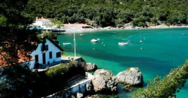 Encontradas 26 novas espécies na Arrábida