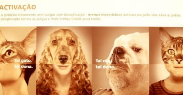 MSD aposta na Bioactivação