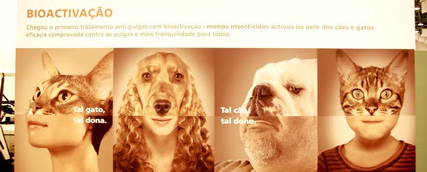 MSD aposta na Bioactivação