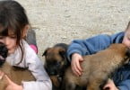 Contacto com cães e gatos é benéfico para problemas respiratórios das crianças