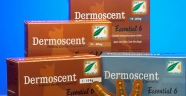 Campifarma lança Dermoscent®