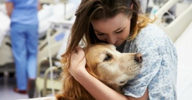 Cães podem ser terapêuticos para pacientes com cancro