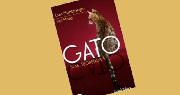 Luís Montenegro e Rui Mota lançam livro Gato sem Segredos