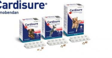 Esteve lança Cardisure Flavoured® para Insuficiência Cardíaca Congestiva