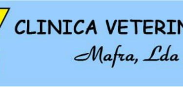 Clínica Veterinária de Mafra obtém certificação de qualidade