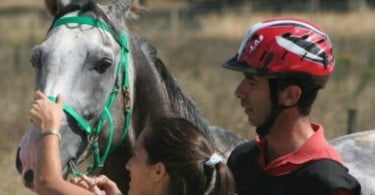 Raide hípico reúne investigadores especializados em equinos