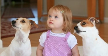 Ter cães em casa pode oferecer proteção contra a asma