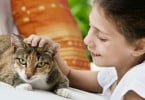 Toxoplasma gondii: o elo entre os gatos e as doenças mentais